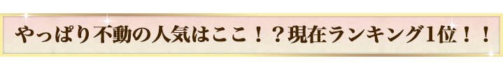 やっぱり不動の人気はここ！？現在ランキング1位！！